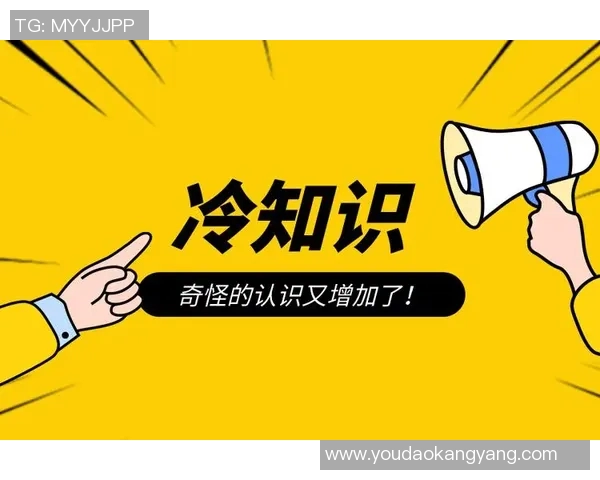 揭秘你不知道的VAR背后冷知识 10个鲜为人知的技术秘密大公开