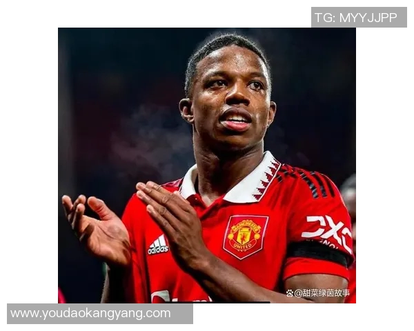 足球转会传闻:曼联欲引进中场大将? 足球转会传闻:曼联欲引进中场大将?