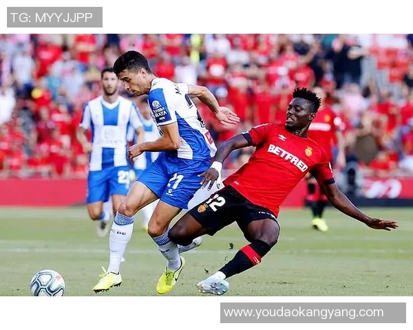 比赛结果汇总：昨晚比赛全景呈现