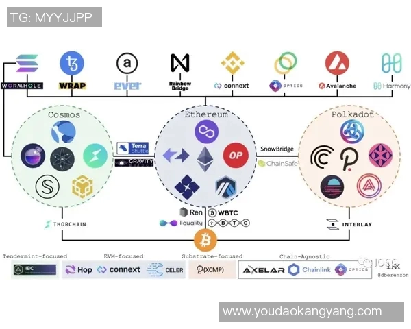 2025赛季F1车队竞争格局解析与未来发展趋势展望