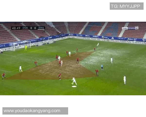 五年间维尼修斯数据全面飞跃技术细节与进步深度解析